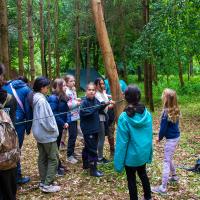 Bushcraft Wild Things June 2025