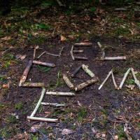 Bushcraft Wild Things June 2025
