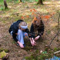 Bushcraft Wild Things June 2025