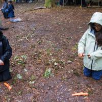 Bushcraft Wild Things June 2025
