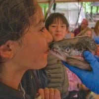 Bushcraft Wild Things June 2025