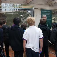 STEM trip June 2025 Brooklands