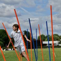 Harrodian Senior Sports Day 2025 