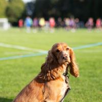 First XI v Tonbridge Sep 2025