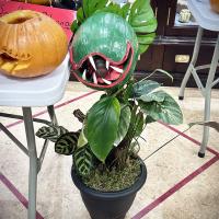 House Pumpkin Carving Competition 2025