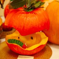 House Pumpkin Carving Competition 2025