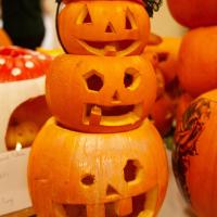 House Pumpkin Carving Competition 2025
