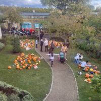 House Pumpkin Carving Competition 2025