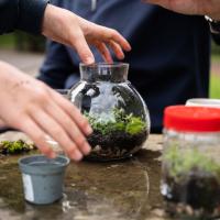 Terrarium Club Gallery, October 2025