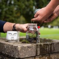 Terrarium Club Gallery, October 2025