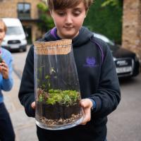 Terrarium Club Gallery, October 2025