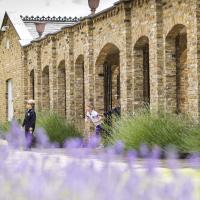 Lavender outside pre prep entrance