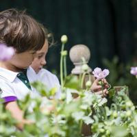 Pre prep allotment