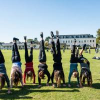 Harrodian handstands on field