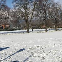 Harrodian in snow 3