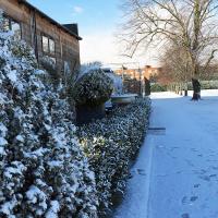 Harrodian in snow 4