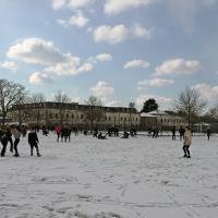 Harrodian in snow 8