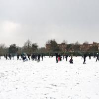 Harrodian in snow 9