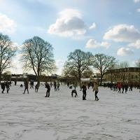 Harrodian in snow 10