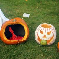 carved pumpkins