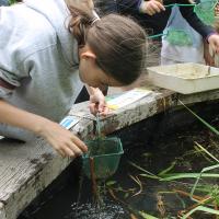 Trip to the Wetlands Centre in Barnes, June 2021 9s