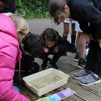 Trip to the Wetlands Centre in Barnes, June 2021 9s