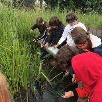 Trip to the Wetlands Centre in Barnes, June 2021 9s