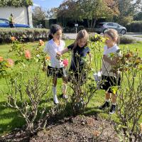 9s outdoor science lesson