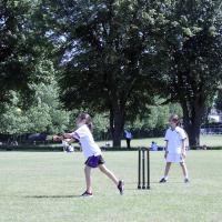 8s cricket 2