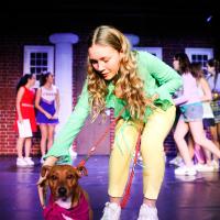 Legally blonde first half