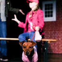 Legally blonde first half