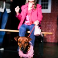 Legally blonde first half