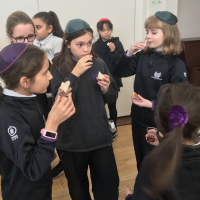 synagogue trip