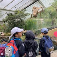 Kew Garden Pre-Prep Trip May 2022