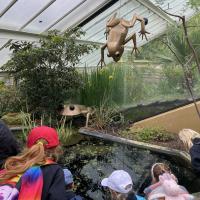 Kew Garden Pre-Prep Trip May 2022