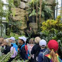 Kew Garden Pre-Prep Trip May 2022