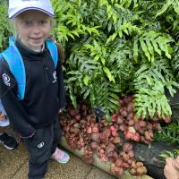 Kew Garden Pre-Prep Trip May 2022