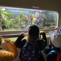 Kew Garden Pre-Prep Trip May 2022