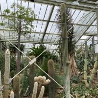 Kew Garden Pre-Prep Trip May 2022