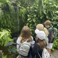 Kew Garden Pre-Prep Trip May 2022