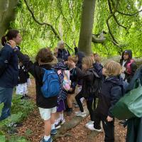 Kew Garden Pre-Prep Trip May 2022