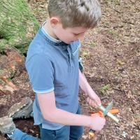 Bushcraft 2022 Gallery 1