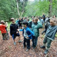 Bushcraft 2022 Gallery 1