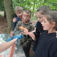 Bushcraft 2022 Gallery 1