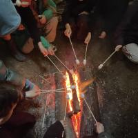 Bushcraft 2022: Gallery Two