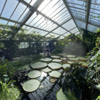 10s Kew Gardens trip October 2022