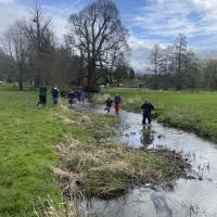 River Tillingbourne 2024