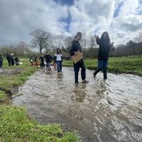 River Tillingbourne 2024