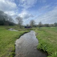 River Tillingbourne 2024