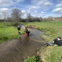 River Tillingbourne 2024